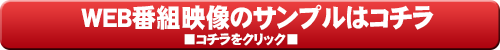 パチンコパチスロ番組の編集サンプル