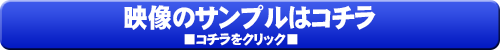 映像制作のサンプル